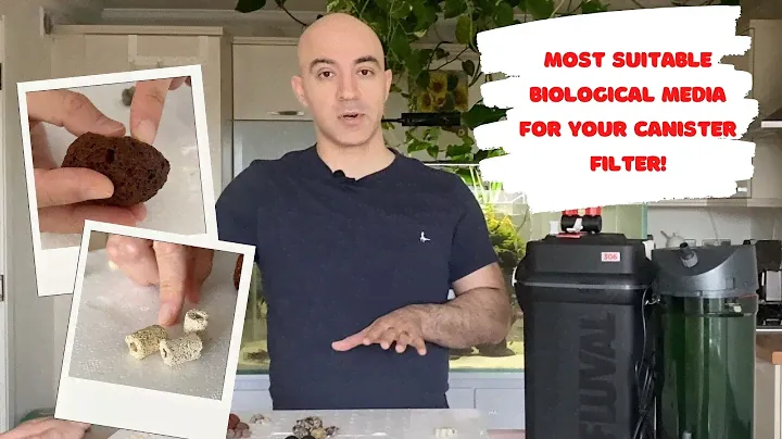 Most Suitable Biological Media for Your Canister Filter?