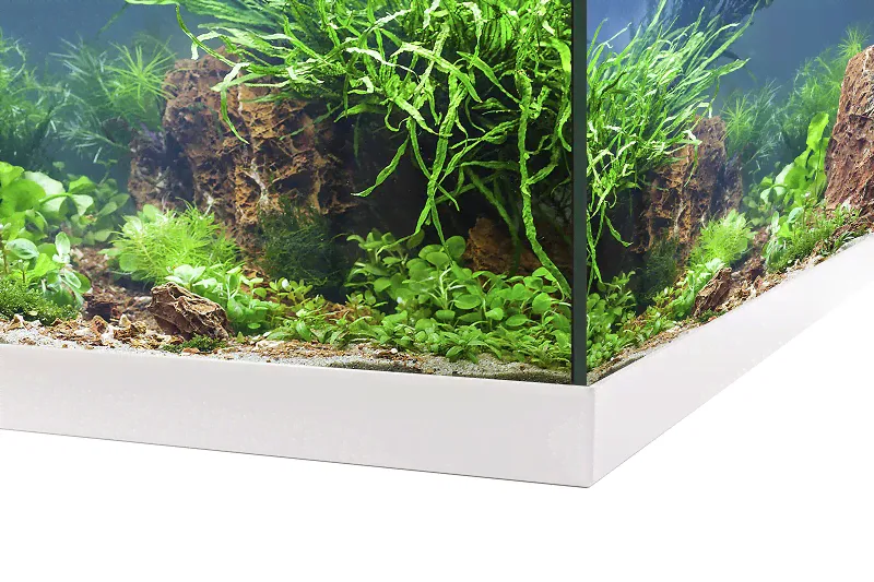 EHEIM Аквариум Aquastar 54 LED белый-4
