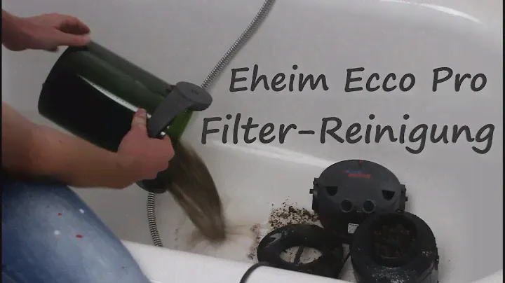Außenfilter-Reinigung bei Wasserschildkröten (Eheim Ecco Pro)