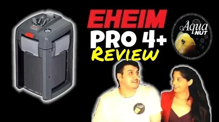 EHEIM Pro 4 + Canister Filter Review | Eheim Professionel 4 350