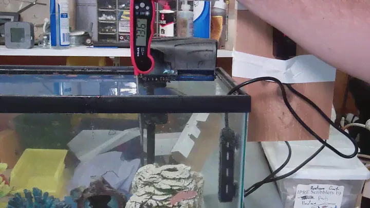 Review Pawfly 50 watt aquarium heater