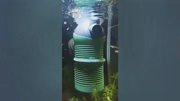 Eheim aquaball 60