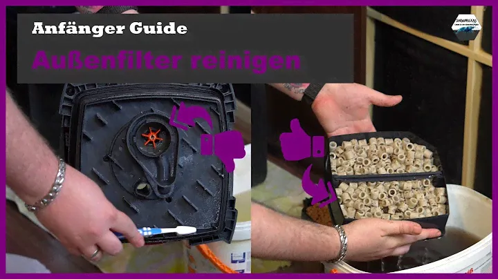 Wie reinige ich einen Außenfilter richtig?