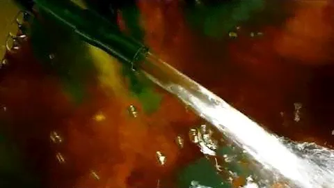 Eheim 2217 Flow Demonstration