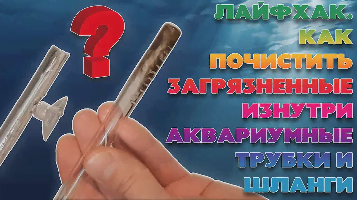 Как почистить аквариумные трубки и шланги изнутри. Лайфхак. Чистим трубки lily pipe от грязи.