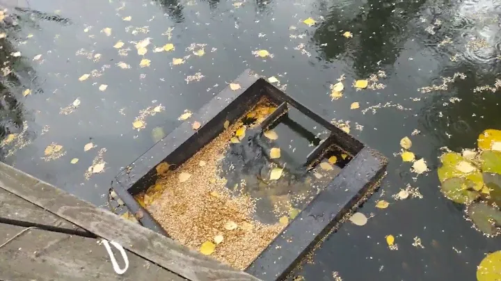 Плавающий скиммер.Скорость очистки поверхности воды.