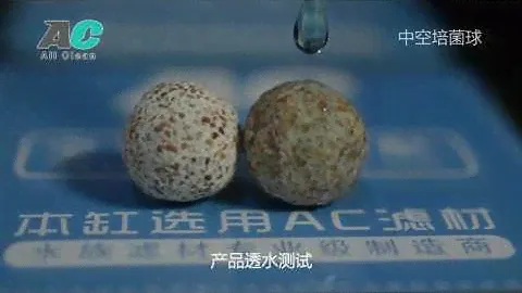 Hollow bio filter medium