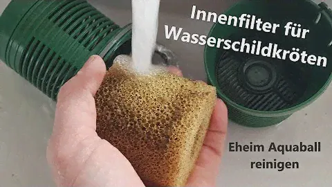 Innenfilter für Wasserschildkröten (Eheim Aquaball Reinigung)