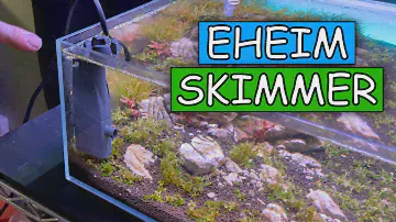 Eheim Skim 350 Setup and Review