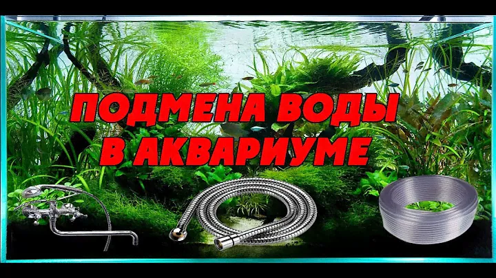 Подмена воды в аквариуме. Приспособления для подмены воды в акве. Шланг слива/залива воды