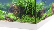 EHEIM Аквариум Aquastar 54 LED белый